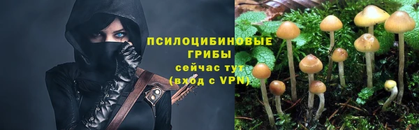 jwh Новодвинск