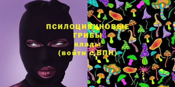 герыч Новозыбков