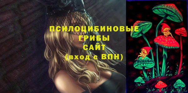 шишки Нягань