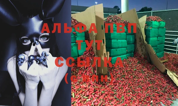 jwh Новодвинск