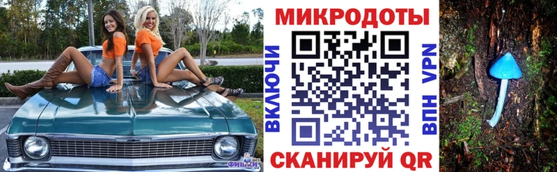 Псилоцибиновые грибы Psilocybine cubensis сколько стоит Киренск
